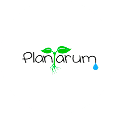 Plantarum